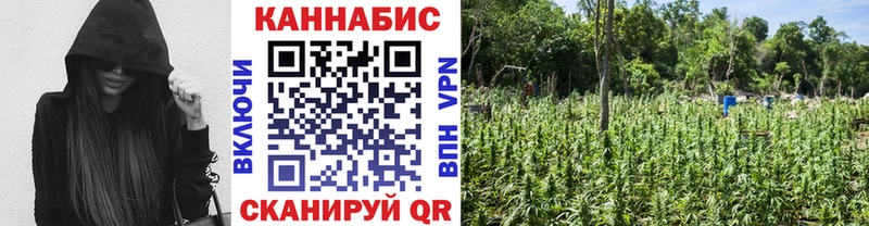 Купить где  Островной  Шишки марихуана планчик 